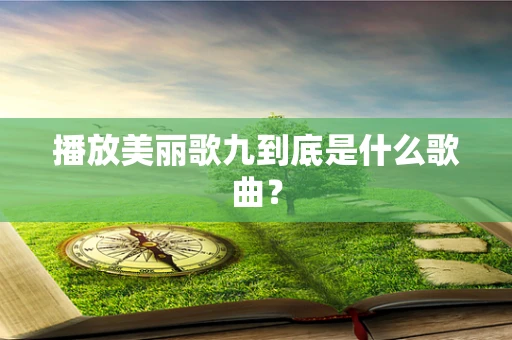 播放美丽歌九到底是什么歌曲？