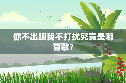 你不出现我不打扰究竟是哪首歌？