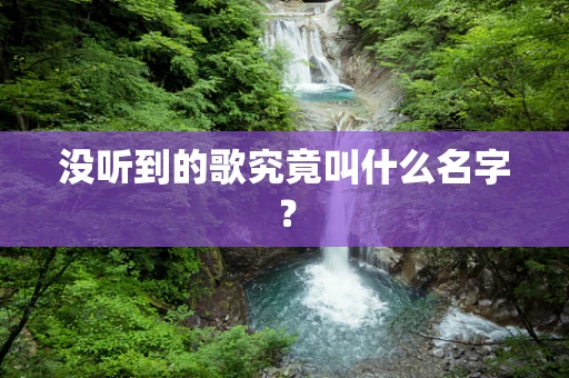 没听到的歌究竟叫什么名字？