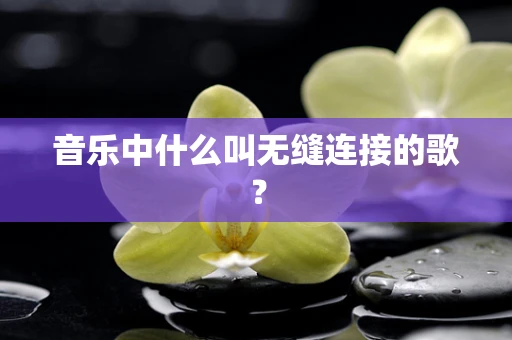 音乐中什么叫无缝连接的歌？