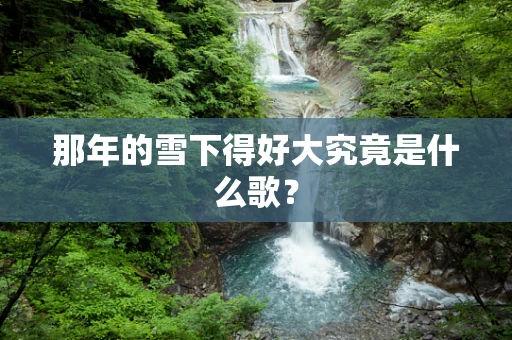 那年的雪下得好大究竟是什么歌？