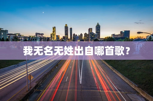 我无名无姓出自哪首歌？