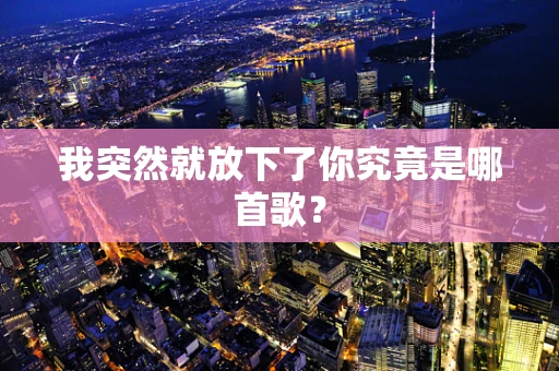 我突然就放下了你究竟是哪首歌？