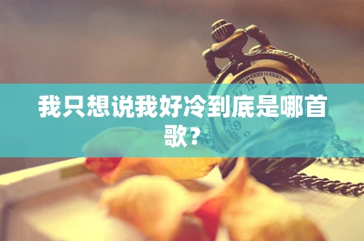 我只想说我好冷到底是哪首歌？