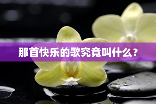 那首快乐的歌究竟叫什么？