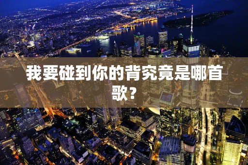 我要碰到你的背究竟是哪首歌？