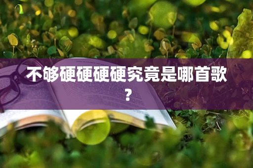 不够硬硬硬硬究竟是哪首歌？