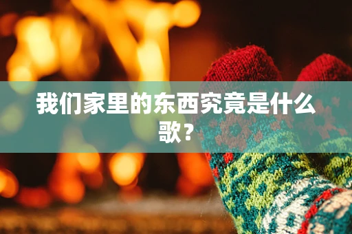 我们家里的东西究竟是什么歌？