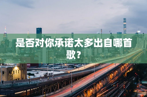 是否对你承诺太多出自哪首歌？