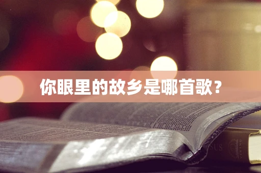 你眼里的故乡是哪首歌？