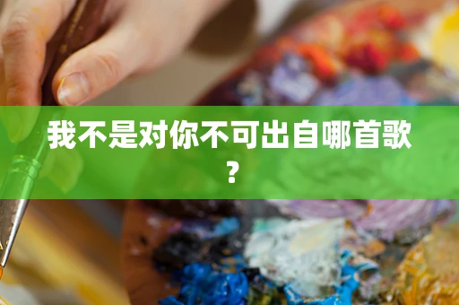 我不是对你不可出自哪首歌？