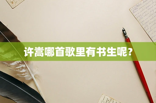 许嵩哪首歌里有书生呢？