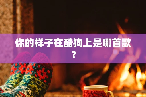 你的样子在酷狗上是哪首歌？