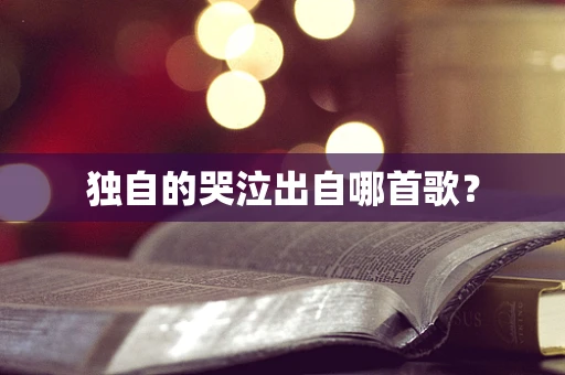 独自的哭泣出自哪首歌？