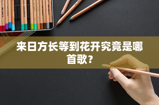 来日方长等到花开究竟是哪首歌？