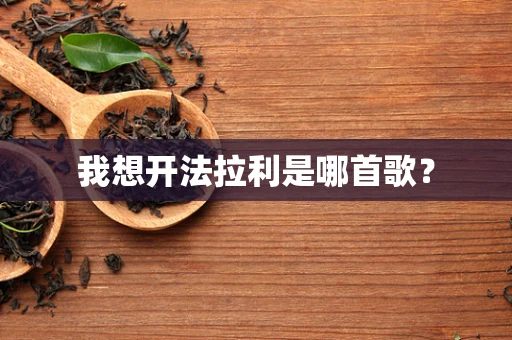我想开法拉利是哪首歌？