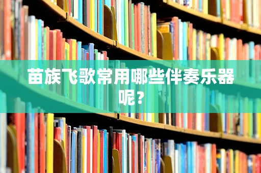 苗族飞歌常用哪些伴奏乐器呢？
