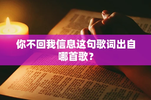 你不回我信息这句歌词出自哪首歌？