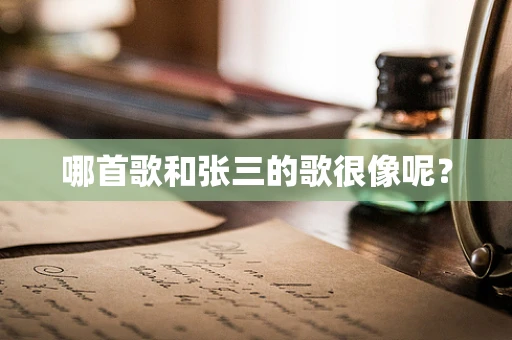 哪首歌和张三的歌很像呢？