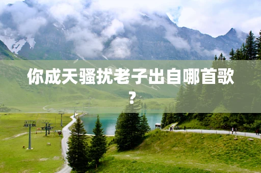 你成天骚扰老子出自哪首歌？