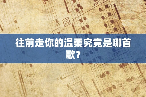 往前走你的温柔究竟是哪首歌？