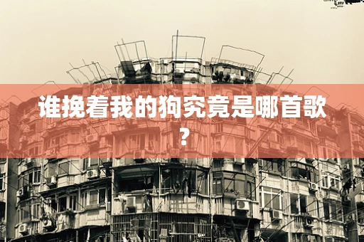 谁挽着我的狗究竟是哪首歌？