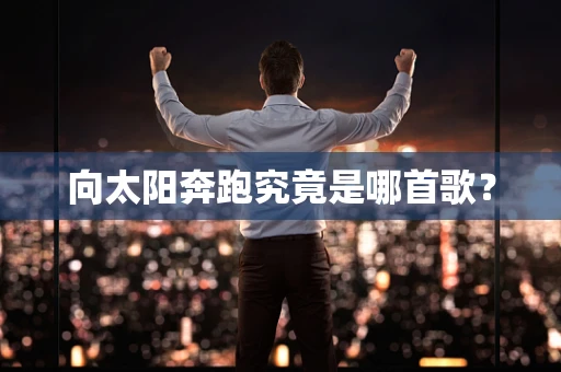 向太阳奔跑究竟是哪首歌？
