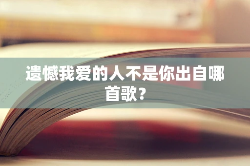 遗憾我爱的人不是你出自哪首歌？