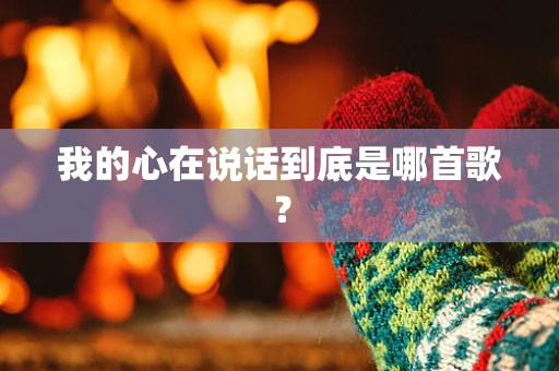 我的心在说话到底是哪首歌？