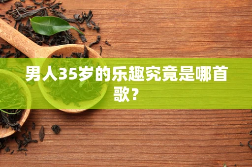 男人35岁的乐趣究竟是哪首歌？