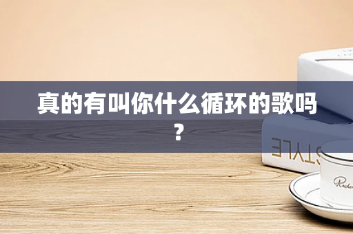 真的有叫你什么循环的歌吗？
