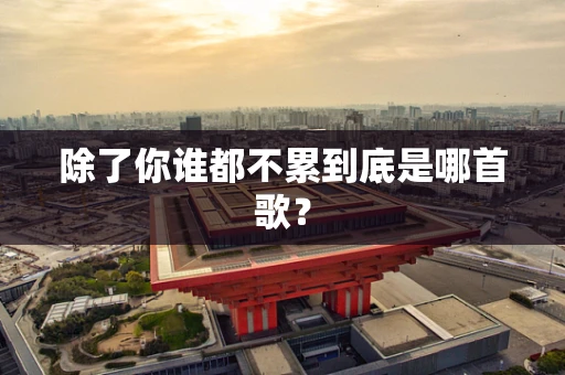 除了你谁都不累到底是哪首歌？