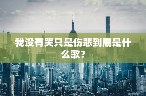我没有哭只是伤悲到底是什么歌？