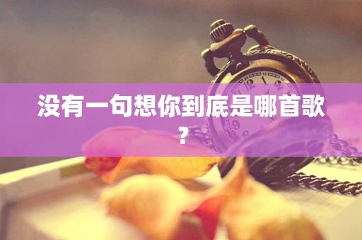 没有一句想你到底是哪首歌？