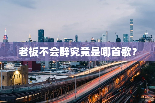 老板不会醉究竟是哪首歌？