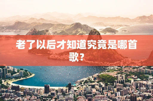 老了以后才知道究竟是哪首歌？