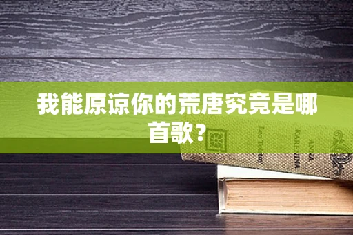 我能原谅你的荒唐究竟是哪首歌？