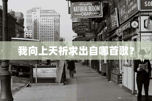 我向上天祈求出自哪首歌？