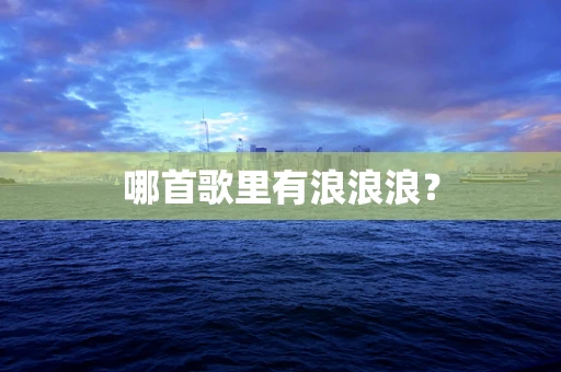 哪首歌里有浪浪浪？