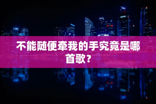 不能随便牵我的手究竟是哪首歌？