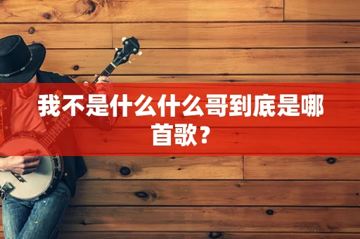 我不是什么什么哥到底是哪首歌？