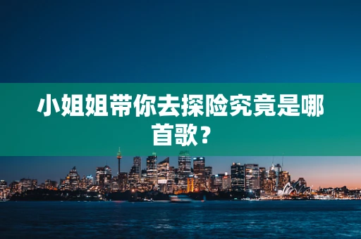 小姐姐带你去探险究竟是哪首歌？