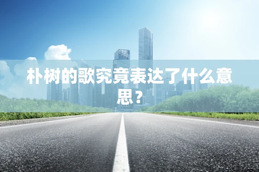 朴树的歌究竟表达了什么意思？