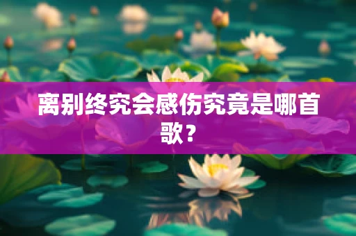 离别终究会感伤究竟是哪首歌？