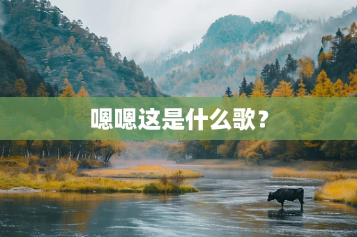 嗯嗯这是什么歌？