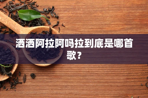 洒洒阿拉阿吗拉到底是哪首歌？