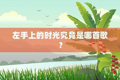 左手上的时光究竟是哪首歌？