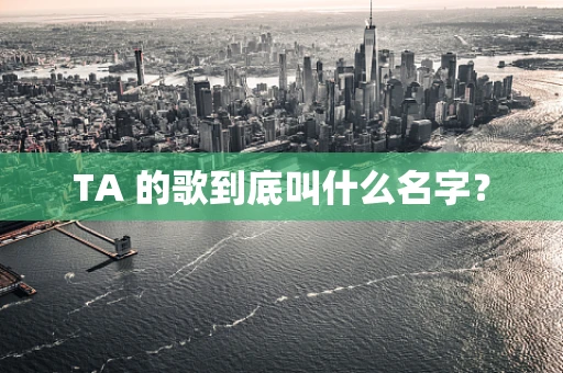 TA 的歌到底叫什么名字？