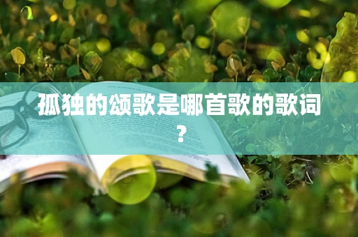 孤独的颂歌是哪首歌的歌词？