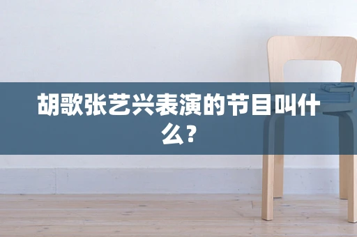 胡歌张艺兴表演的节目叫什么？